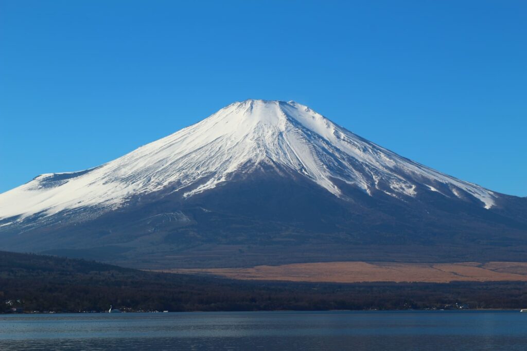 富士を描いた名作、片岡球子作品の鑑定ポイントを解説